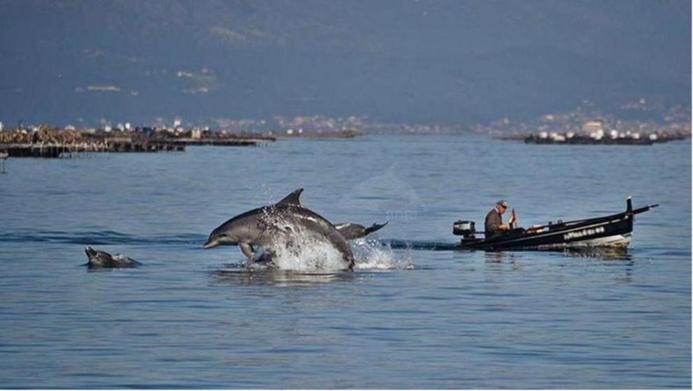 Mar Y Montana Διαμέρισμα Moaña Εξωτερικό φωτογραφία